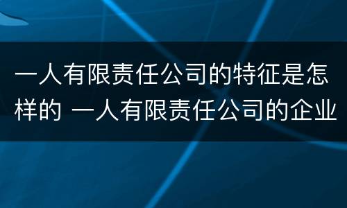 一人有限责任公司的特征是怎样的 一人有限责任公司的企业类型是什么