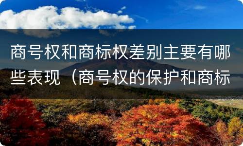 商号权和商标权差别主要有哪些表现（商号权的保护和商标权的保护一样是全国性范围的）