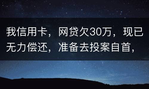 我信用卡，网贷欠30万，现已无力偿还，准备去投案自首，大概会判多少年