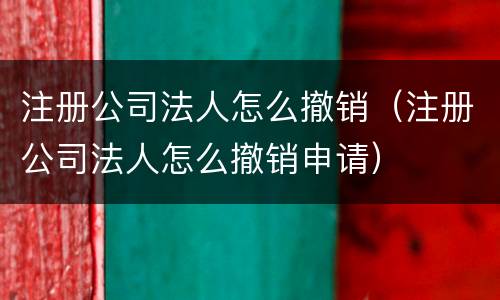 注册公司法人怎么撤销（注册公司法人怎么撤销申请）