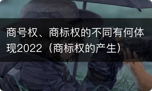 商号权、商标权的不同有何体现2022（商标权的产生）