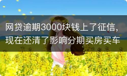 网贷逾期3000块钱上了征信，现在还清了影响分期买房买车么