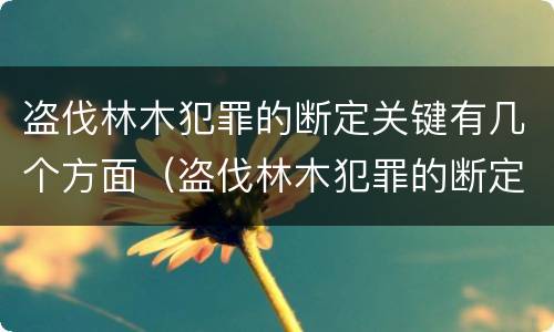 盗伐林木犯罪的断定关键有几个方面（盗伐林木犯罪的断定关键有几个方面内容）