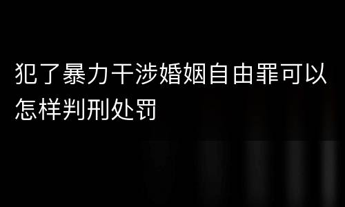 犯了暴力干涉婚姻自由罪可以怎样判刑处罚