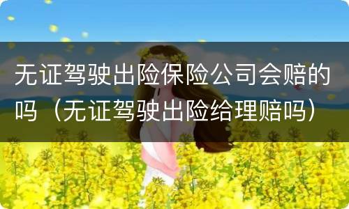 无证驾驶出险保险公司会赔的吗（无证驾驶出险给理赔吗）