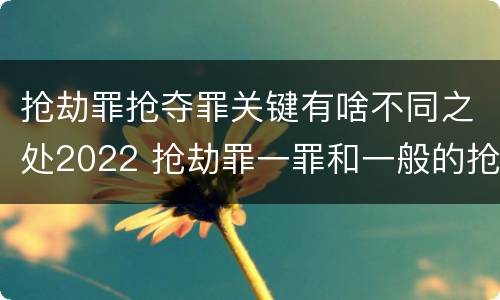 抢劫罪抢夺罪关键有啥不同之处2022 抢劫罪一罪和一般的抢劫罪