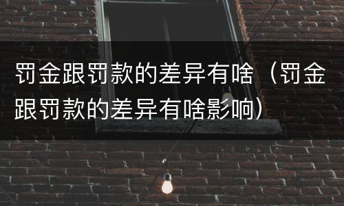 罚金跟罚款的差异有啥（罚金跟罚款的差异有啥影响）