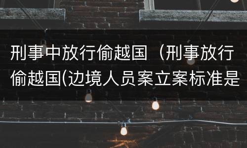 刑事中放行偷越国（刑事放行偷越国(边境人员案立案标准是怎样的）