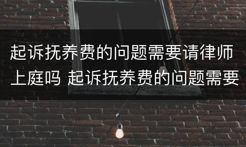 起诉抚养费的问题需要请律师上庭吗 起诉抚养费的问题需要请律师上庭吗