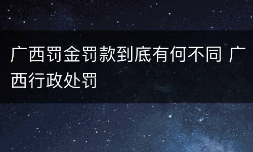 广西罚金罚款到底有何不同 广西行政处罚