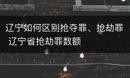 辽宁如何区别抢夺罪、抢劫罪 辽宁省抢劫罪数额