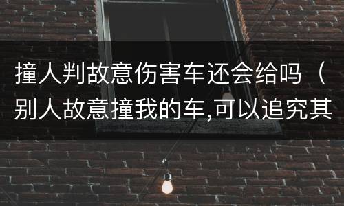 撞人判故意伤害车还会给吗（别人故意撞我的车,可以追究其刑事责任吗）