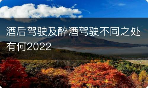 酒后驾驶及醉酒驾驶不同之处有何2022