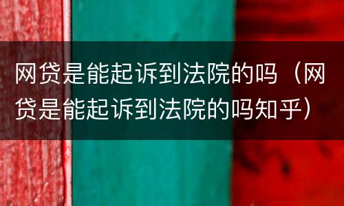 网贷是能起诉到法院的吗（网贷是能起诉到法院的吗知乎）