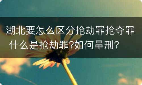 湖北要怎么区分抢劫罪抢夺罪 什么是抢劫罪?如何量刑?