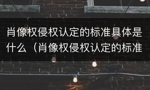 肖像权侵权认定的标准具体是什么（肖像权侵权认定的标准是什么民法典）