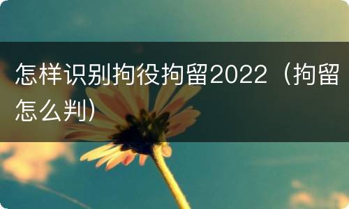 怎样识别拘役拘留2022（拘留怎么判）