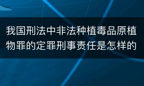 我国刑法中非法种植毒品原植物罪的定罪刑事责任是怎样的