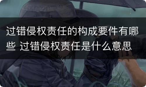 过错侵权责任的构成要件有哪些 过错侵权责任是什么意思