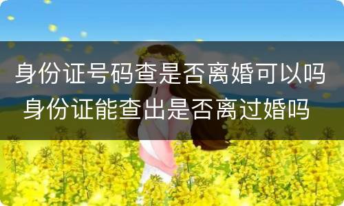 身份证号码查是否离婚可以吗 身份证能查出是否离过婚吗