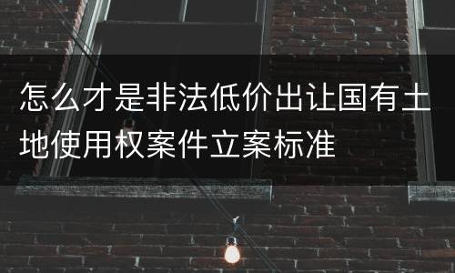 怎么才是非法低价出让国有土地使用权案件立案标准