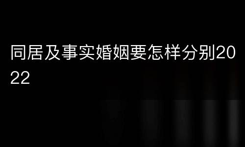 同居及事实婚姻要怎样分别2022