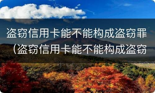 盗窃信用卡能不能构成盗窃罪（盗窃信用卡能不能构成盗窃罪行为）