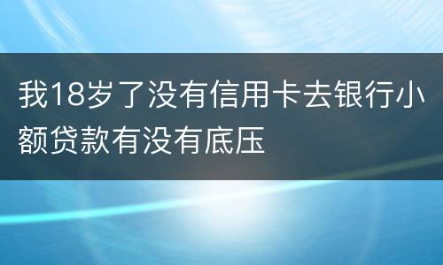 我18岁了没有信用卡去银行小额贷款有没有底压