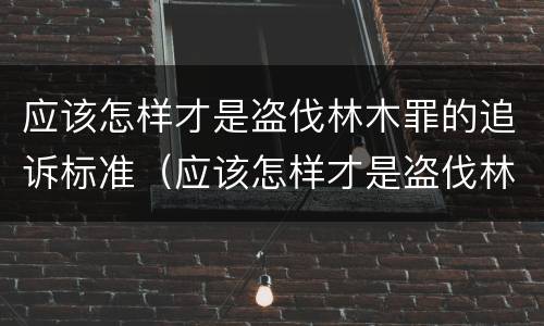 应该怎样才是盗伐林木罪的追诉标准（应该怎样才是盗伐林木罪的追诉标准呢）