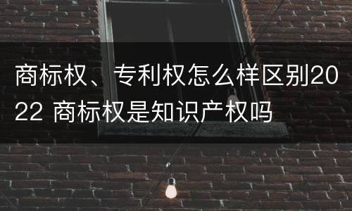 商标权、专利权怎么样区别2022 商标权是知识产权吗