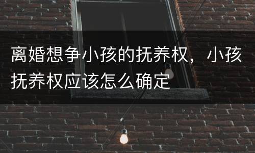 离婚想争小孩的抚养权，小孩抚养权应该怎么确定