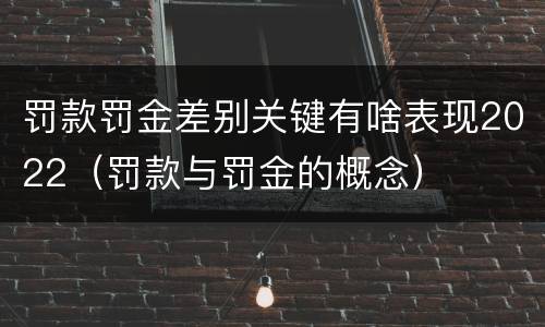 罚款罚金差别关键有啥表现2022（罚款与罚金的概念）