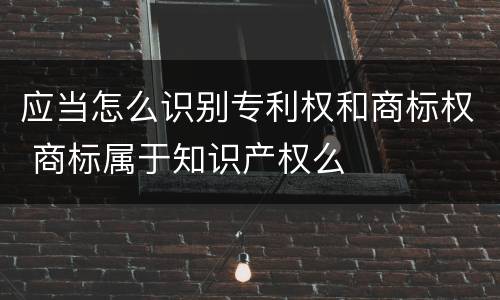 应当怎么识别专利权和商标权 商标属于知识产权么