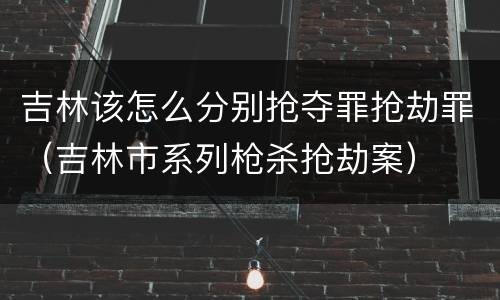 吉林该怎么分别抢夺罪抢劫罪（吉林市系列枪杀抢劫案）