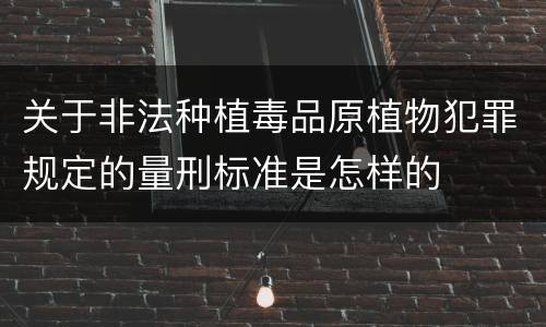 关于非法种植毒品原植物犯罪规定的量刑标准是怎样的