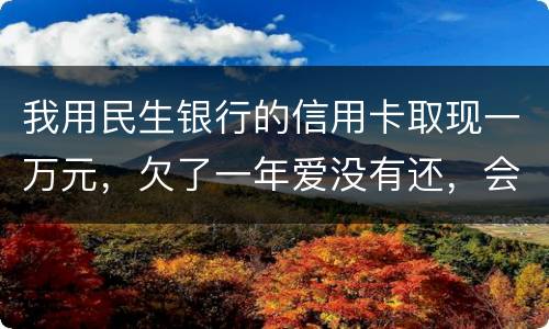 我用民生银行的信用卡取现一万元，欠了一年爱没有还，会构成诈骗罪吗