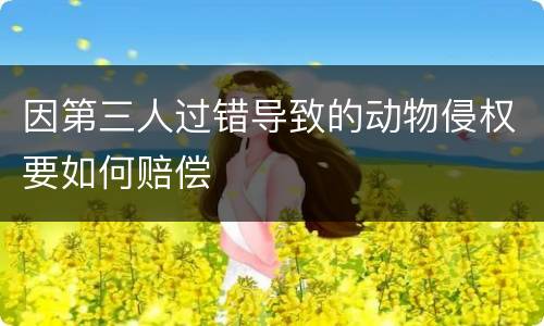 因第三人过错导致的动物侵权要如何赔偿