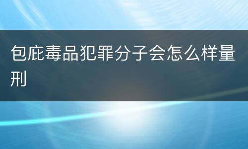 包庇毒品犯罪分子会怎么样量刑