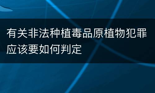 有关非法种植毒品原植物犯罪应该要如何判定