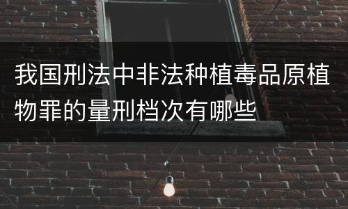 我国刑法中非法种植毒品原植物罪的量刑档次有哪些