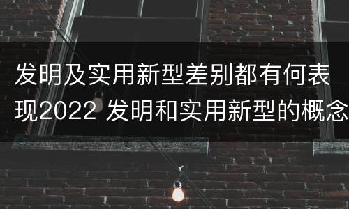 发明及实用新型差别都有何表现2022 发明和实用新型的概念