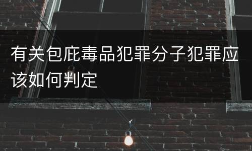 有关包庇毒品犯罪分子犯罪应该如何判定