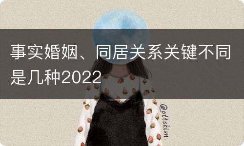 事实婚姻、同居关系关键不同是几种2022