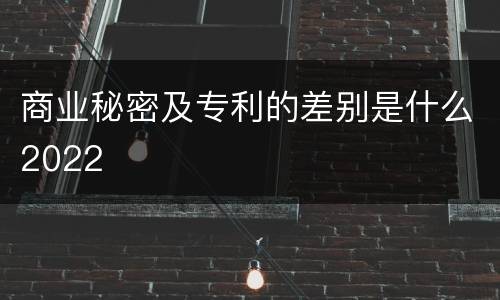 商业秘密及专利的差别是什么2022