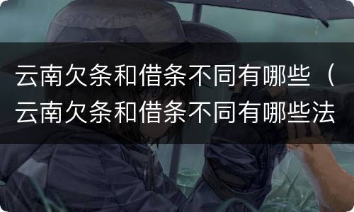 云南欠条和借条不同有哪些（云南欠条和借条不同有哪些法律规定）