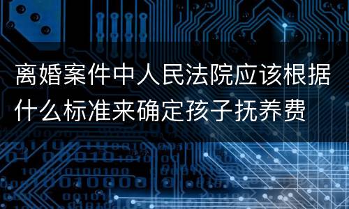 离婚案件中人民法院应该根据什么标准来确定孩子抚养费