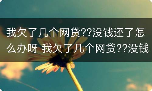 我欠了几个网贷??没钱还了怎么办呀 我欠了几个网贷??没钱还了怎么办呀