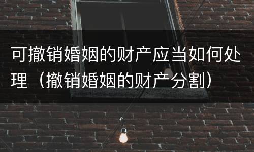 可撤销婚姻的财产应当如何处理（撤销婚姻的财产分割）