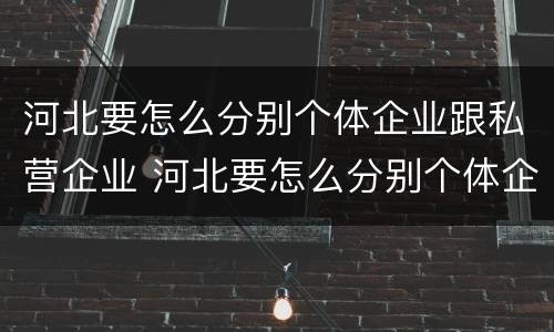 河北要怎么分别个体企业跟私营企业 河北要怎么分别个体企业跟私营企业呢