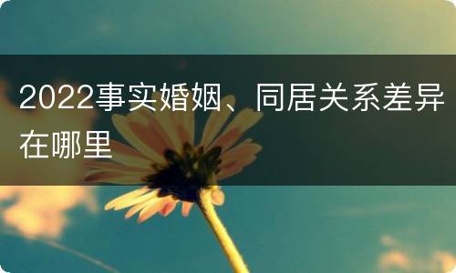 2022事实婚姻、同居关系差异在哪里